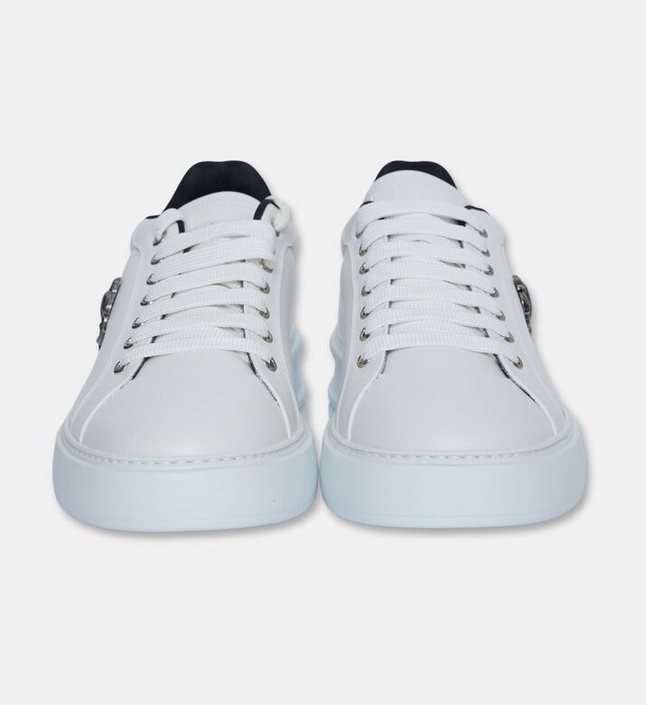 Roberto Cavalli Shoes Sport Calf Pasha, Packshot View