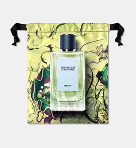 Prada Edp Trembled Blossoms, Packshot View