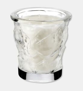 Lalique Cndle Vase 750g Oceans, Packshot View