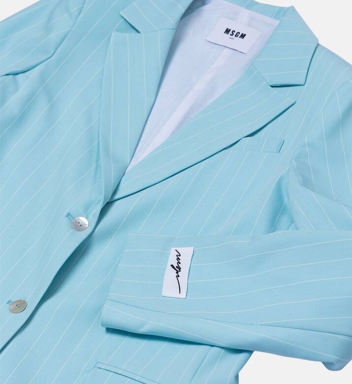 جاكيت مخطط بخطوط رفيعة جاكيت مخطط بخطوط رفيعة