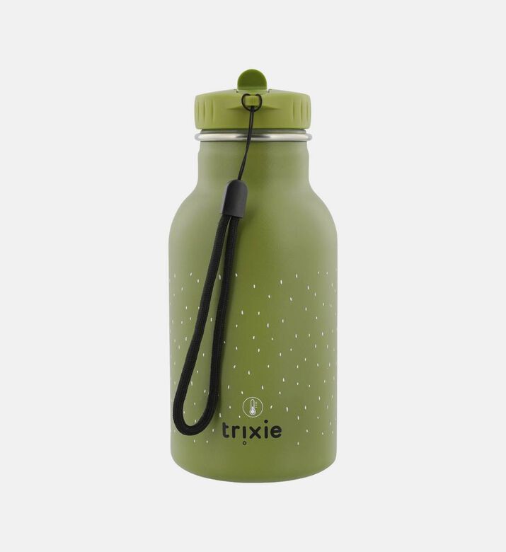 Dino Stainless Steel Bottle