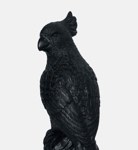 زخرفة الببغاء الزخرفية