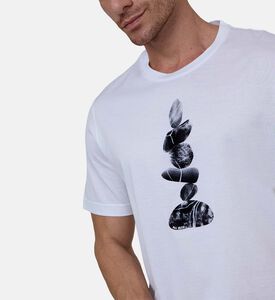 تيشيرت قطن بطبعة وياقة دائرية قصيرة الأكمام