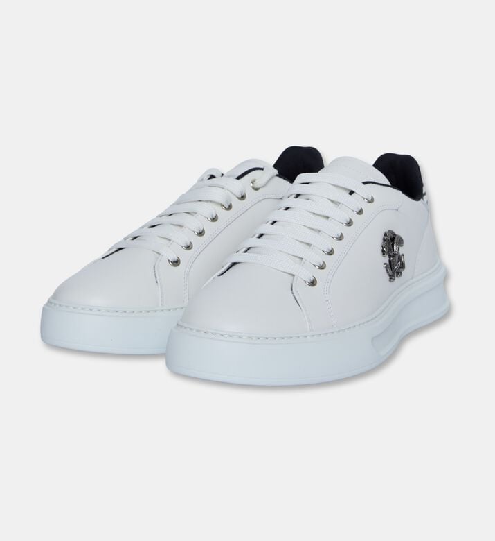 Roberto Cavalli Shoes Sport Calf Pasha, Packshot View