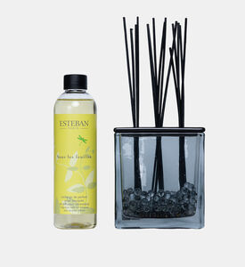 ناشر عطر القصب الزجاجي الأنيق