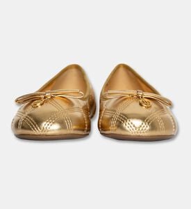 Arezzo Shoes Flat, Packshot View