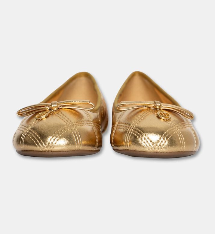 Arezzo Shoes Flat, Packshot View