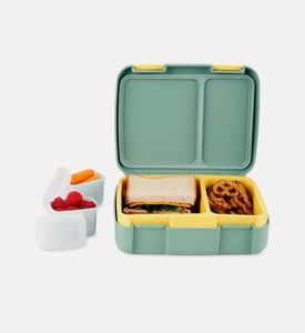 صندوق بنتو بطبعة قنفذ