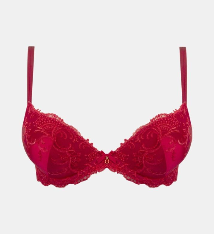 Coque Progres Embroidered Bra