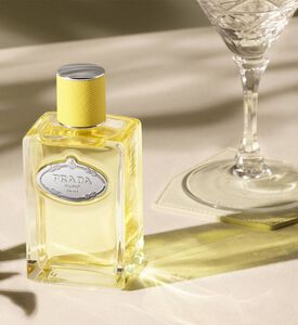 Infusion Ylang Eau De Parfum 100 Ml Infusion Ylang Eau De Parfum 100 Ml