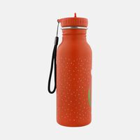 Parrot Stainless Steel Bottle
