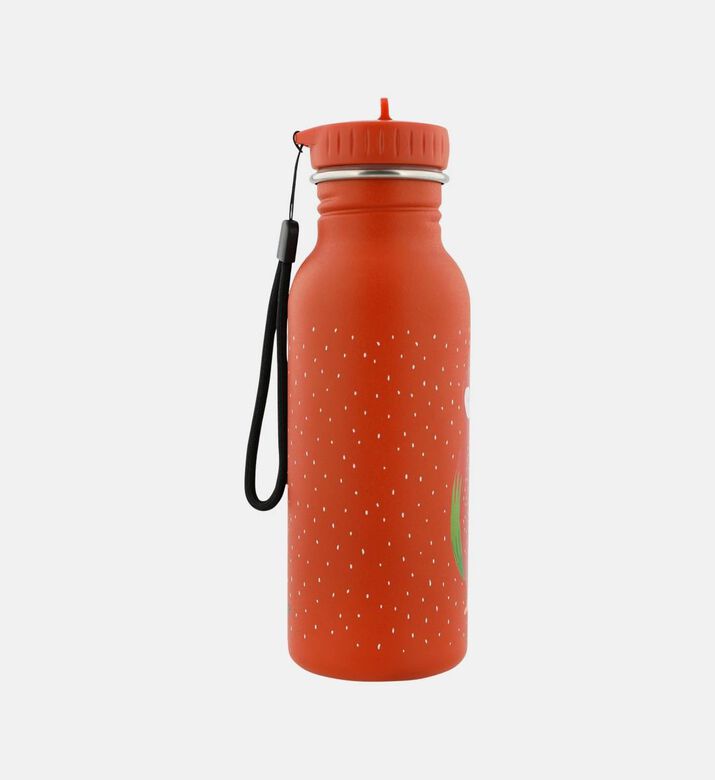 Parrot Stainless Steel Bottle