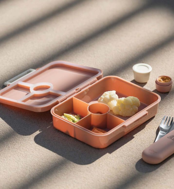 Ballerina Tritan Snack Box