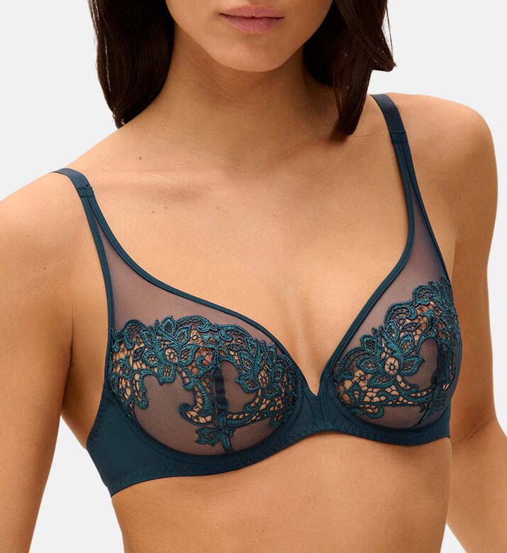 Sheer Mesh Underwired Embroidered Bra