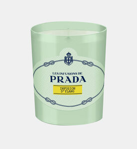 شمعة إنفوزيون ديلانغ معطرة