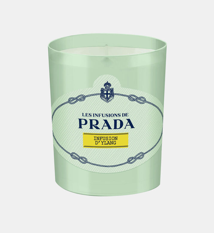 Infusion D Ylang Scented Candle