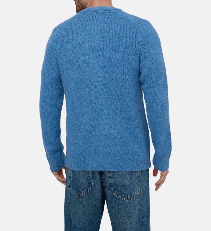 كارديغان سارين