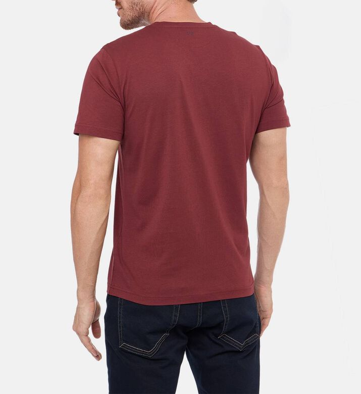 Pal Zileri Classic Crewneck T-shirt, Burgundy, 56, Model View Pal Zileri Classic Crewneck T-shirt, Burgundy, 56, Model View
