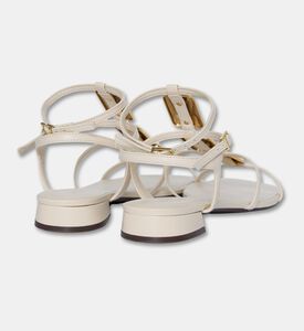 Arezzo Shoes Sandal Flat, Packshot View