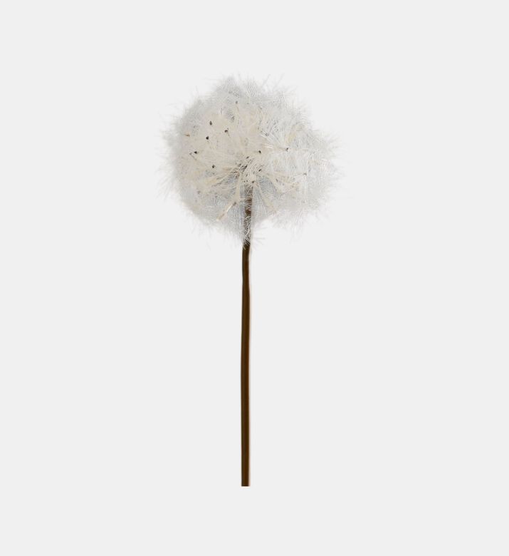 Jumbo Dandelion Branch - 70cm