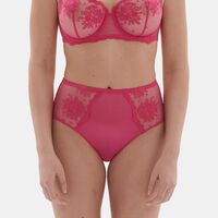 Floral-embroidery Tulle Retro Brief