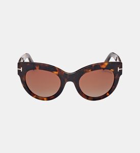 نظارات شمسية كلاسيكية بتصميم كات آي51