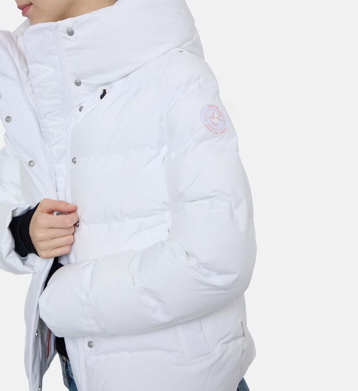 Save the Duck Padded Regular-fit Long-sleeve Jacket, Model View