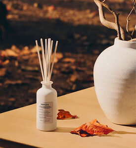 Replica Antumn Vibes Diffuser 185 Ml Replica Antumn Vibes Diffuser 185 Ml