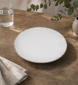 Spal Blend Simple Cinza Dinner Plate, Model View