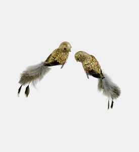 Feather Tail Sequined Tail Bird