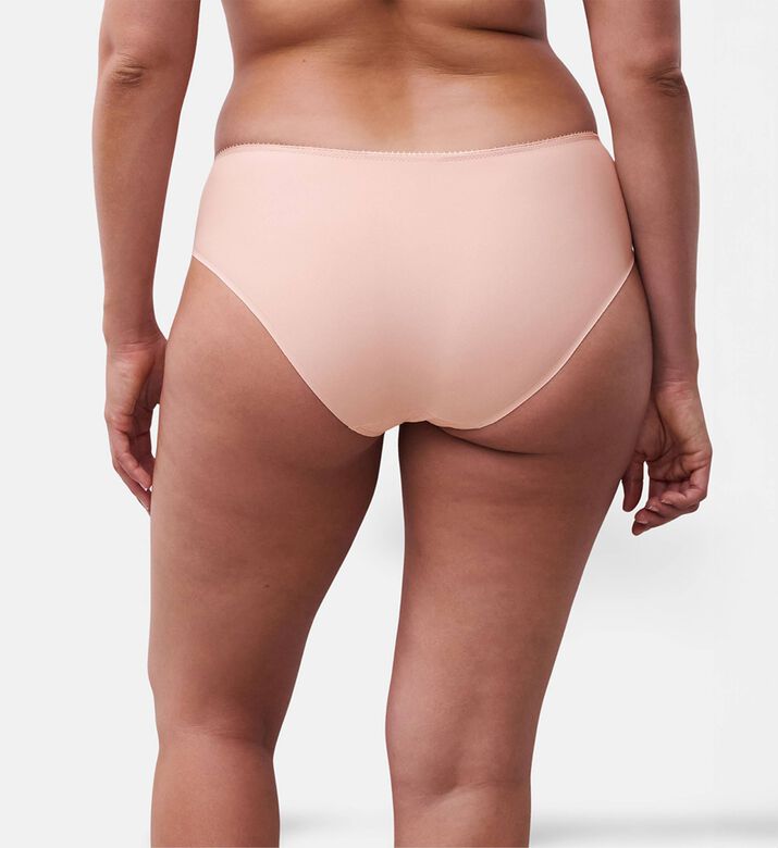 Chantelle Brief, Model View