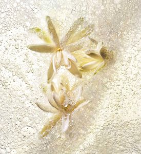 Kilian Paris Shower Gel Good Girl Refill, Packshot View