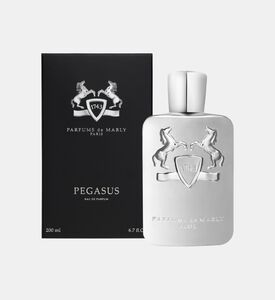 بيجاسوس بخاخ ماء عطر