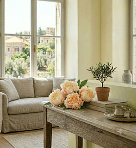 Edg Peony Bush, Cream, Packshot View