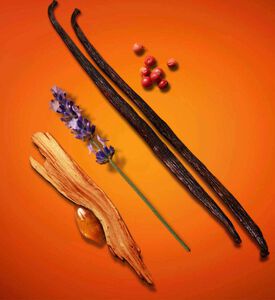 Stronger With You Intensely Eau De Parfum