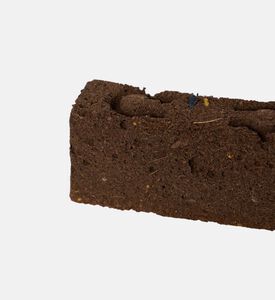 لينغو أوريغانو عضوي