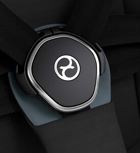 Platinum Priam Frame