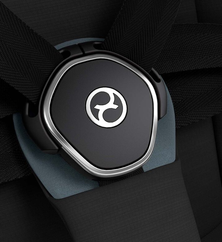 Platinum Priam Frame