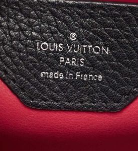 Louis Vuitton Taurillon Leather Python Capucines Bag Preowned Louis Vuitton Taurillon Leather Python Capucines Bag Preowned