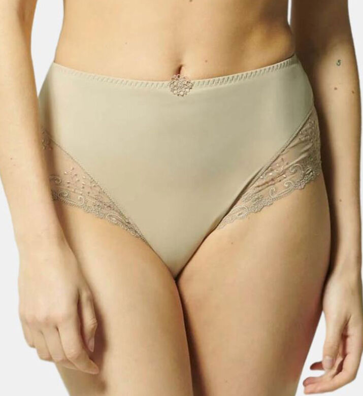 Delice High Waist Brief