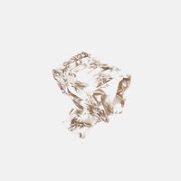 Medium Hair Clip