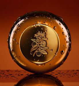 Gucci Beauty Fiori Di Neroli Eau De Parfum, Packshot View Gucci Beauty Fiori Di Neroli Eau De Parfum, Packshot View