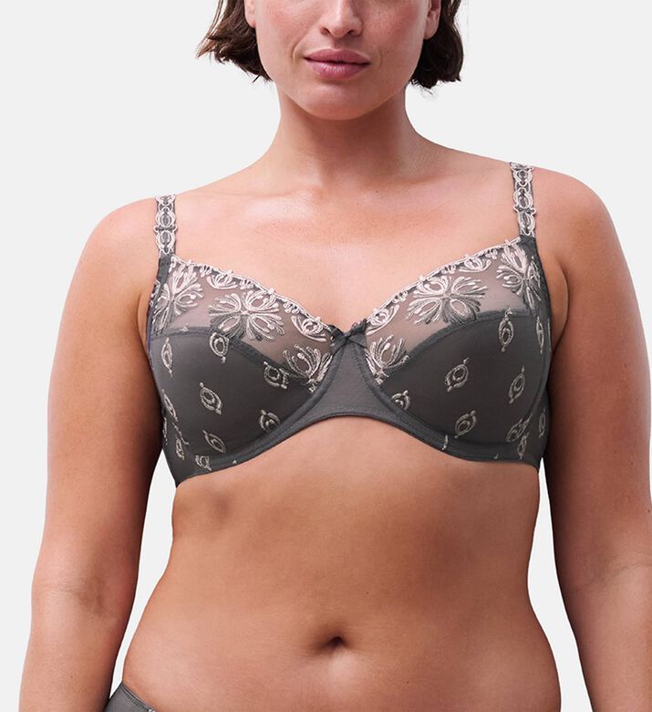Chantelle Bra, Dark-grey, 100, D, Model View