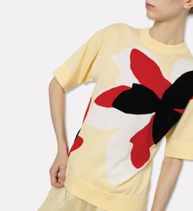 Plan C Pull Knit, Model View