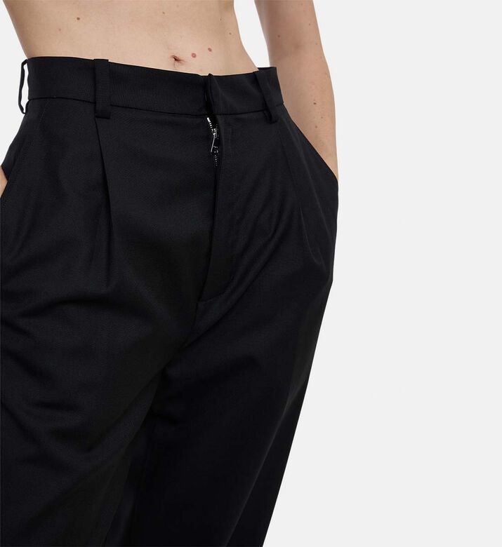 Plan C Wide-leg Button Closure Pants, Model View