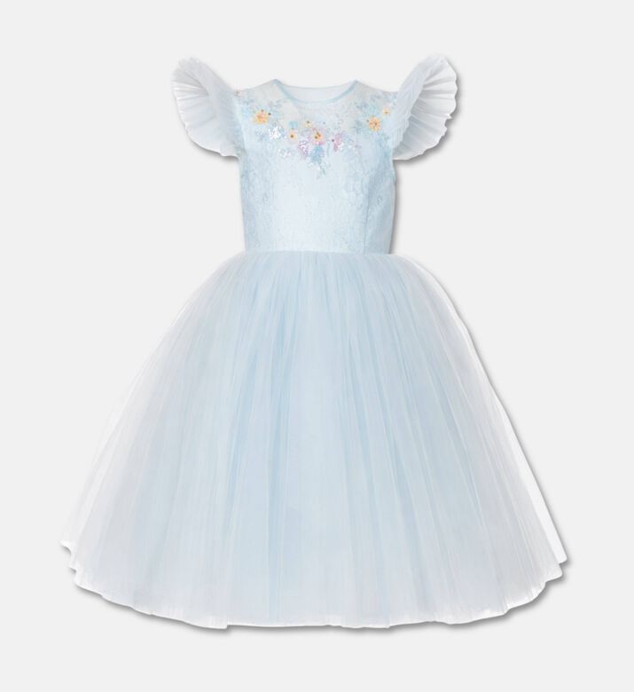 Lelyte Floral-embroidery Sheer Lace Dress, Packshot View