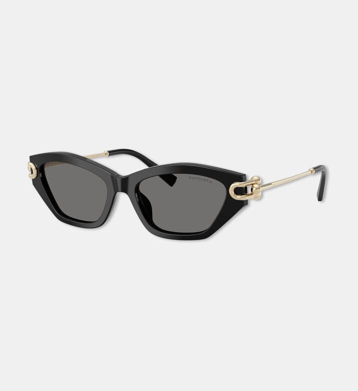 Tiffany & Co. Acetate Butterfly Sunglasses, Packshot View