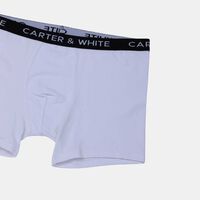 Cotton Classic Underwear 2-piece Set