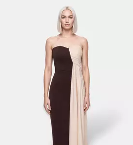 AAVVA Strapless Draped Panel Gown, Model View