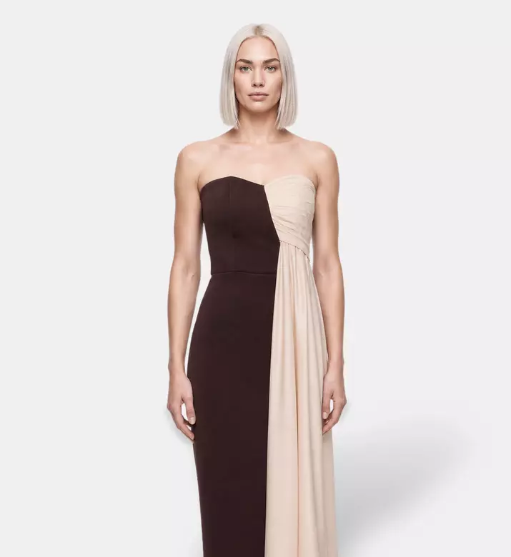 AAVVA Strapless Draped Panel Gown, Model View
